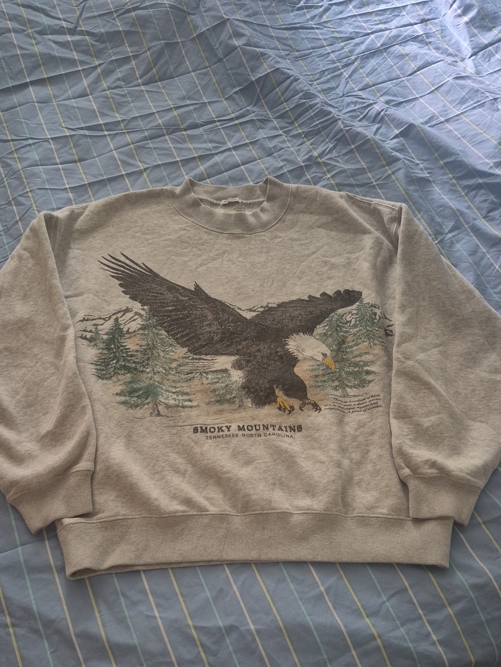 Abercrombie And Fitch Sweatshirt
